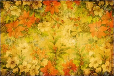 C'est un casque de fer faisant partie de l'armure ou encore un chapeau souple à larges bords.