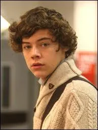 Quelle est la personne qui a pour nom de famille Styles ?