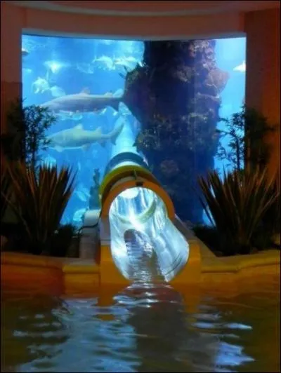 Voici sans doute le plus extraordinaire des... ?