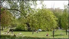 Lequel des parcs suivants n'existent pas ?