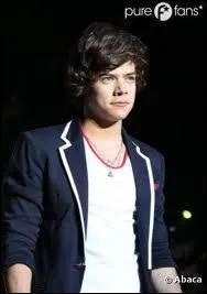  Avant de se lancer, Harry a longuement hsit entre la musique et ... , mais il a finalement choisi la musique.  Compltez.