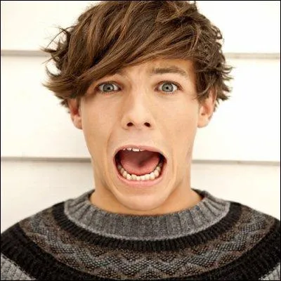 Dans une des  Video Diary  , Louis est appel le :