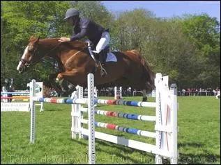 Quel est le nom de cet obstacle ?