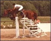 Quel est le nom de cet obstacle ?