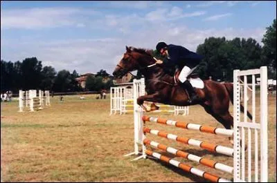 Quel est le nom de cet obstacle ?