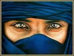 Où vivent les ''hommes bleus'' ?