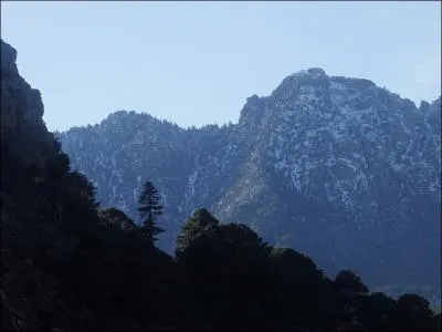Dans ce parc national, le sapin, le cdre et la roche forment un tout. Dans quel pays se trouve-t-il ?
