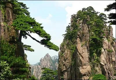 Les clbres montagnes suspendues d'Avatar seraient inspires de celles ci. Dans quel pays se trouvent-elles ?