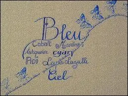 Qui a écrit les paroles de la chanson ''Les Mots bleus'' de Christophe ?