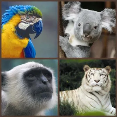 Grand parc zoologique du Loir et Cher. Parc de...