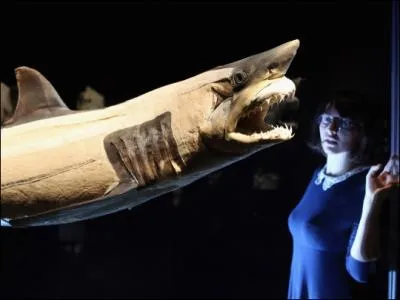 Ce poisson existe bien, il s'agit ...