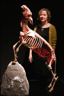 En France, la transhumance concerne en majorit ...