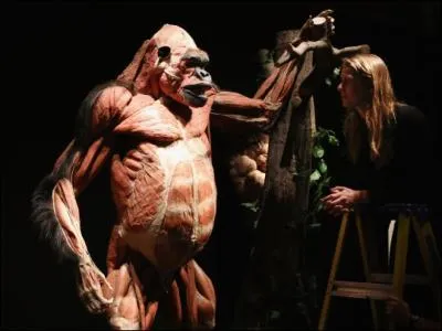 Il existe une espce qui vit dans la montagne !