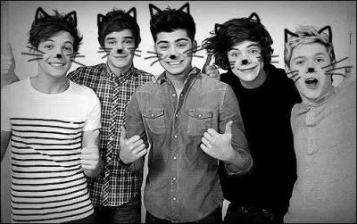 Quel(s) record(s) les One Direction ont-il tabli ?