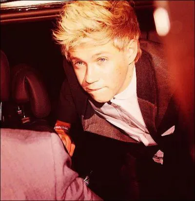  quelle cole Niall a-t-il fait ses tudes ?