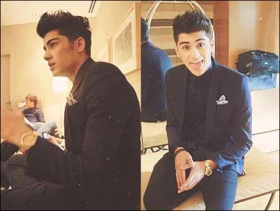  quelle cole Zayn a-t-il fait ses tudes ?
