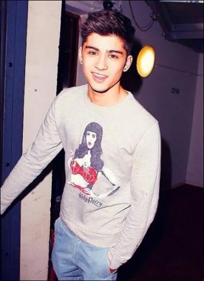 Zayn a peur...