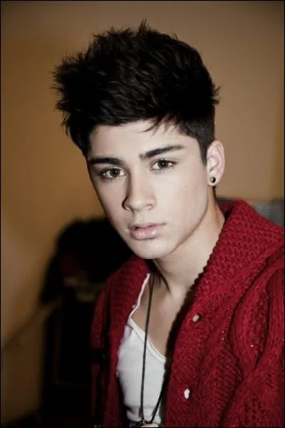 Zayn est...