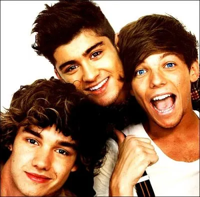 En quelle anne Louis est-il n ?