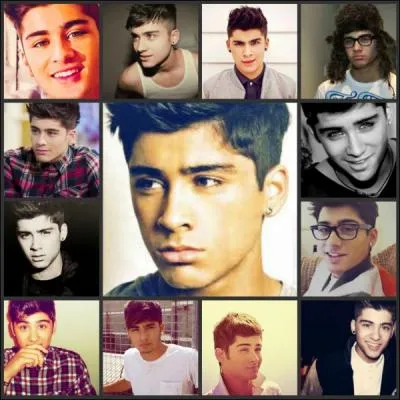 Qu'est-ce qui, d'aprs Zayn, rend une fille attirante ?