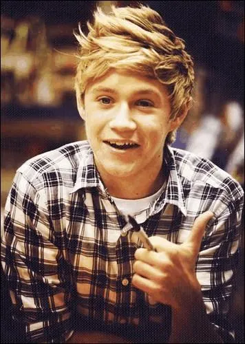 Quelle est la plus grande peur de Niall ?