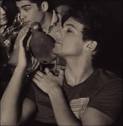 Comment s'appelle le pigeon des 1D ?