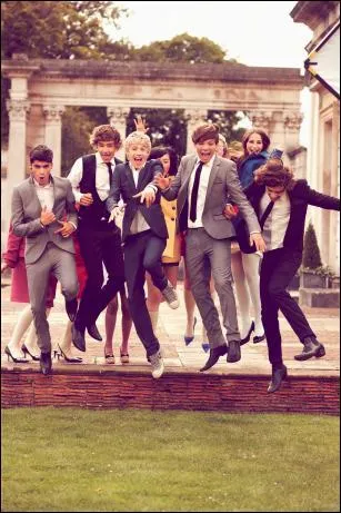 Les 1D sont composs de ...