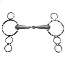 Quel est le nom de ce mors ?