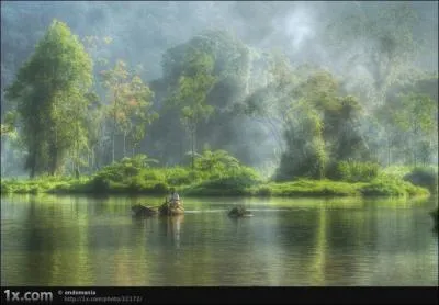 C'est un mot qui lui va bien !