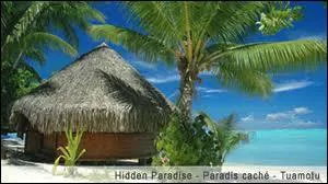 ''Oh, think twice, it's just another day for you and me in PARADISE / Oh, think twice, it's just another day for you, you and me in PARADISE / Just think about it''