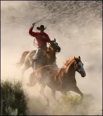 ''T'es tombé dans le piège, le nez dans la neige / En route vers le PARADIS / Tu parles d'un héros, fauché en plein galop / Et dire que tout le monde applaudit ! / ... C'est la vie, pas le PARADIS''