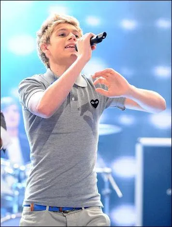 Quel ge avait Niall lorsque ses parents se sont spars ?