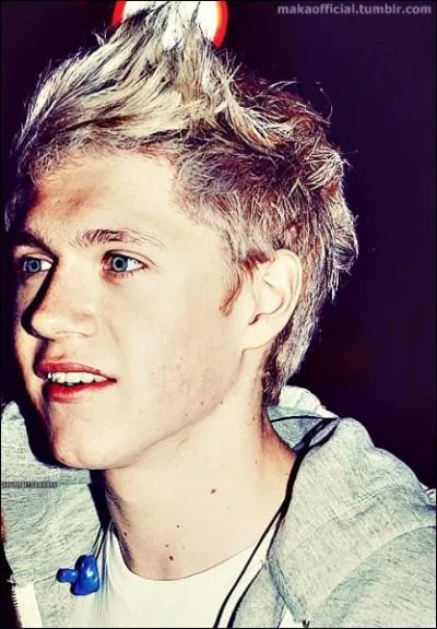 Quelle chanson Niall dcide-t-il d'interprter   X Factor  ?