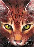 Qui est la compagne de Griffe de Ronce ?