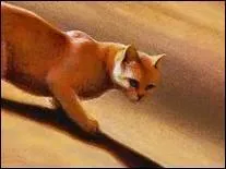 Qui est la belle-mre de Griffe de Ronce ?