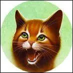 Qui est la belle-grand-mre de Griffe de Ronce (mre du pre de sa compagne) ?