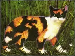 Qui est/sont la/les soeur(s) de Griffe de Ronce ?