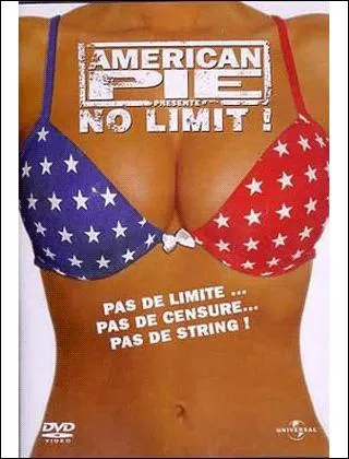 En quelle anne est sorti le premier  American Pie  ?