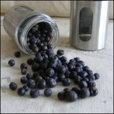 Ces baies sont particulirement recommandes avec la choucroute...