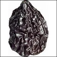 Spcialit franaise, comment sont sches les prunes qui deviennent alors pruneaux ?