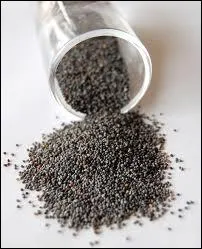 Ces petits grains noirs peuvent parfumer le pain et diffrents gteaux galement...