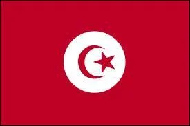 A quel pays appartient ce drapeau ?