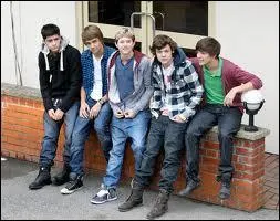 Quel membre du groupe est fils unique ?