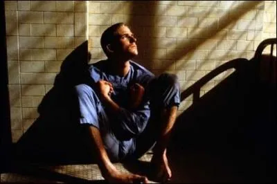 Film d'Alan Parker, sorti en 85. Deux amis d'enfance reviennent de la guerre du Vit Nam marqus  jamais, traumatiss. Un des 2amis rve de pouvoir voler comme un oiseau. B. O compose par Peter Gabriel.