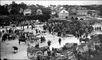 Comment s'appelle cette ville dvaste de Normandie ?