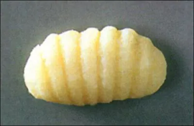 Ce type est fait par Lustucru, il propose de les faire poler. Comment s'appelle cette forme ?