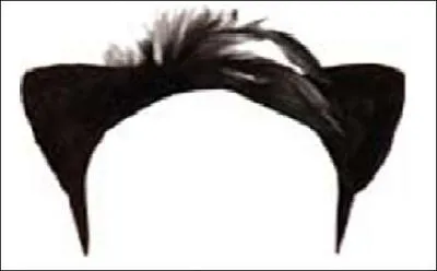 Quel chat a les oreilles rabaisses ?