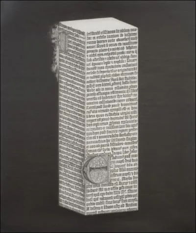 Quel est le nom de ce dessin de Frank Magnotta ?