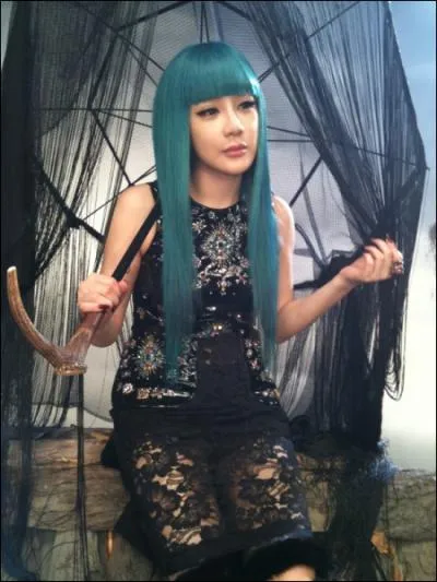 Sa carrire a dbut en quelle anne ?