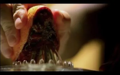 Dans quelle srie retrouve-t-on ce gnrique ?